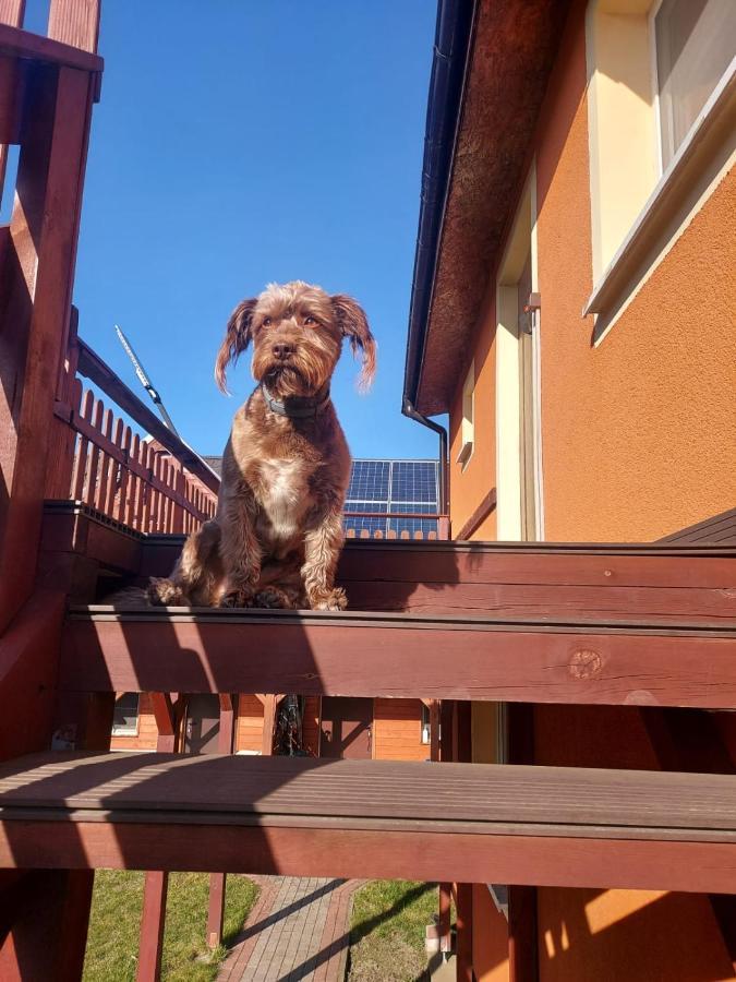 Siedlisko Na Zaciszu Apartamenty Kąty Rybackie Exterior photo